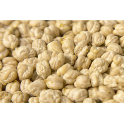 GARBANZO GIGANTE LECHOSO